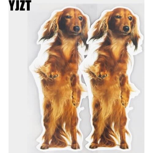 YJZT 9.5×21.2CM Standing Dachshund Funny Animal Vinyl Decals Decoration Car Sticker Accessories 21A-0280