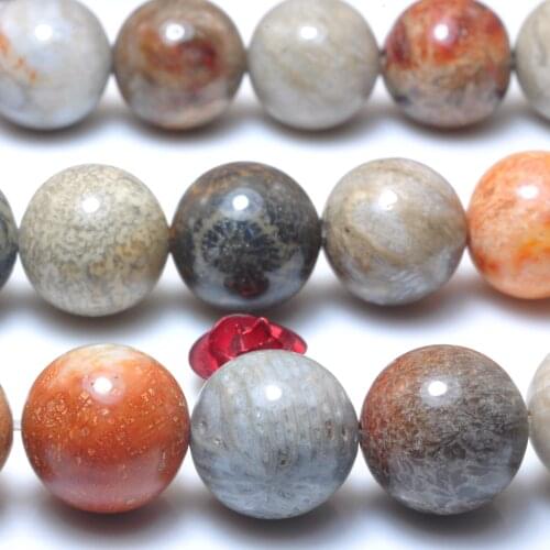 Natural Fossil Coral Jasper Smooth Round Beads Loose Gemstones Wholesale Jewelry Making Stuff Semi Precious Stone