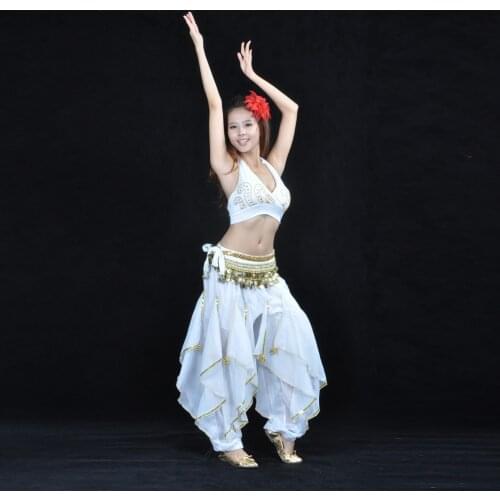 Indian Belly Dance Harem Pants Costume Baggy Arabic Tribal Pants Bottoms