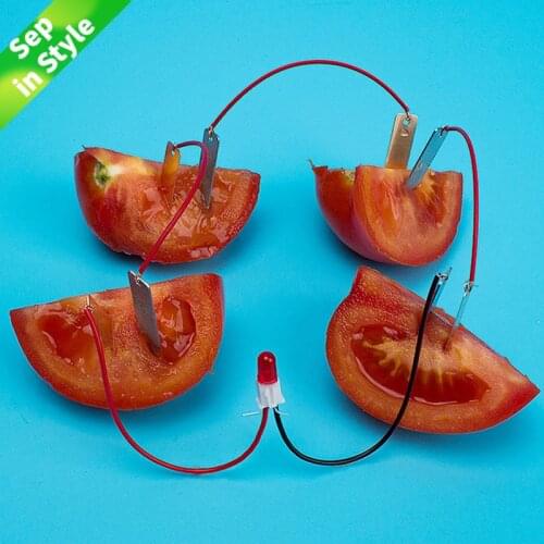 Hot Bio Energy Science Kit Potato Fruit Supply Electricity Experiments Kids Children Student Learining Science Educational Toy