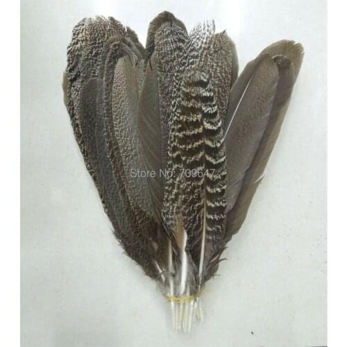 20pcs/lot!25-35cmlong natural peacock wings,PEACOCK WING Quill FEATHERS,variety of decorative feathers, freeshipping