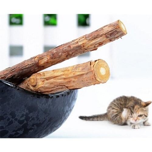2/5/10Pcs Cat Supplies Cat Molar Tooth Cleaning Stick Pet Products Natural Wood Days Polygonum Catnip Cat Snacks Pet Treats
