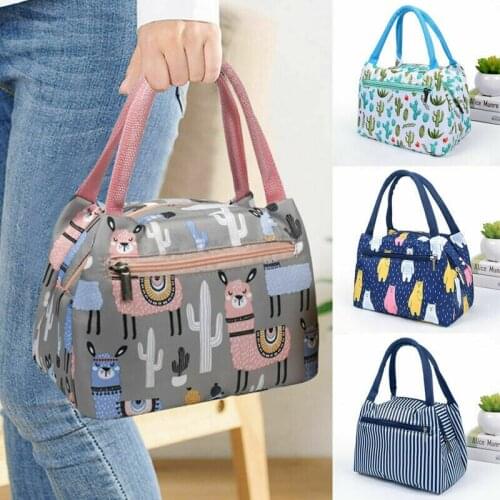 Newest Fashion Cartoon Printed Lunch Bag Insulated Thermal Cool Bags Picnic Food Box Supply Acc