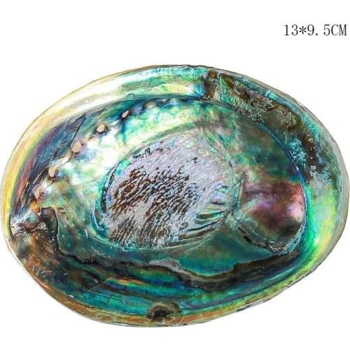 12-14CM Polished Natural Abalone Shells Seashell Home Landscape Aquarium Decor Soap Holder Craft Handmade