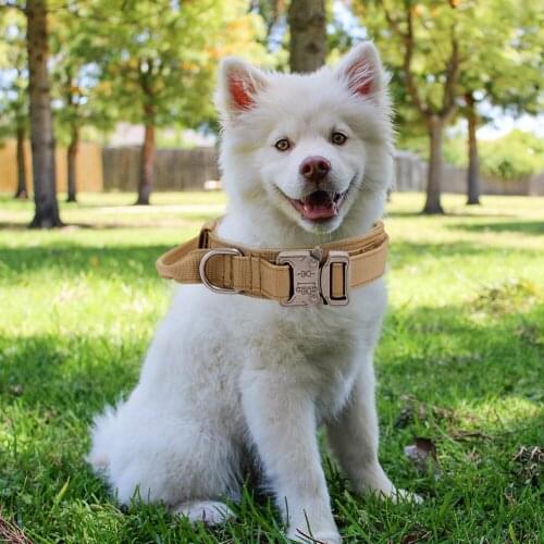1.5inch Medium Large Dog Nylon Collar Durable Training Hunting Pet Collar Leash Adjustable Walking Puppy Accessories