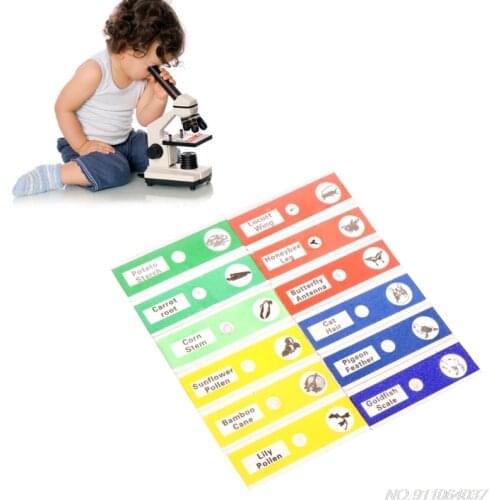 12 Pcs Prepared Microscope Slides Set Specimen for student Basic Biology Education N16 20 Dropshipping