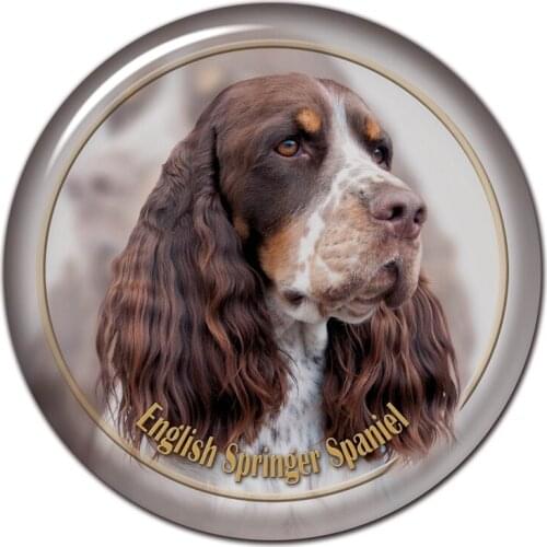 B0856# 13CM/17CM Self-Adhesive Decal English Springer Spaniel Dog V2 Car Sticker Decors on Bumper Rear Window Laptop