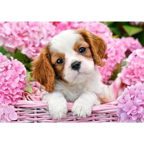 5d Diamond Painting Dog Flower Embroidery Cross Stitch Animal Mosaic Handmade Home Decoration