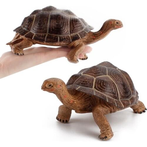 Galapagos Tortoise Turtle Model Figure Animal Toy Desktop Decoration Collectable Gift PVC Realistic Turtle Model