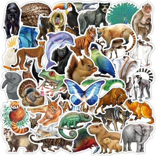 Rainforest Animals Stickers for Laptop Water Bottle Bicycle Skateboard Waterproof Car Luggage Sticker Anime Pack Decal Cool Toys