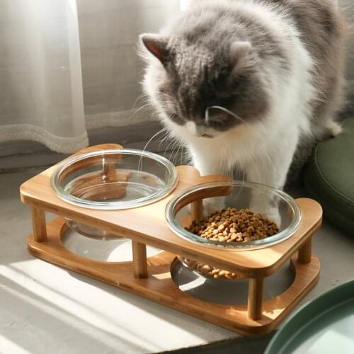 Cat Raised Glass Bowl Pet Elevated Wood Stand Neck Care Design For Kitten Puppy Confort Healthy Drinking Feeding Bowls