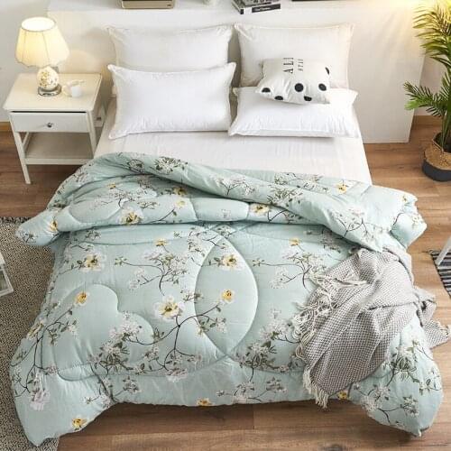 Lamb double-faced velvet wool quilt Duvet winter thicken blanket core extra warm And Soft double king comforter