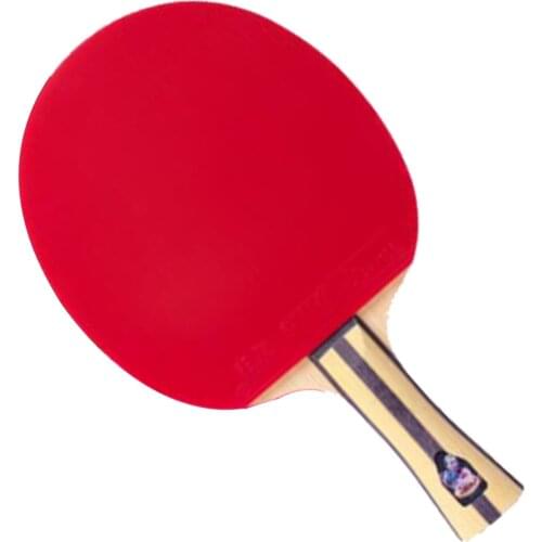 DHS Table Tennis Racket 4002 4006 Ping Pong Paddle Table Tennis Racquets indoo sports Raquete