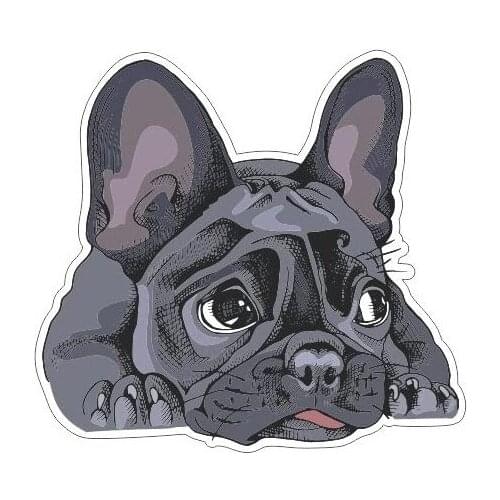 French Bulldog Pattern Anime Car Sticker Decal Decor for Motorcycle Off-road Laptop Helmet Trunk Window Windshield Accessories