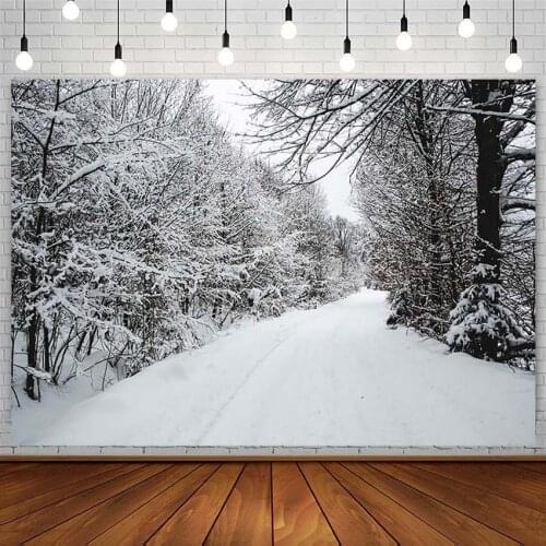 Winter Christmas Backdrops Tree Forest Bokeh Snowflakes XMAS Child Portrait Photography Background Photoshoot Studio Decor Props