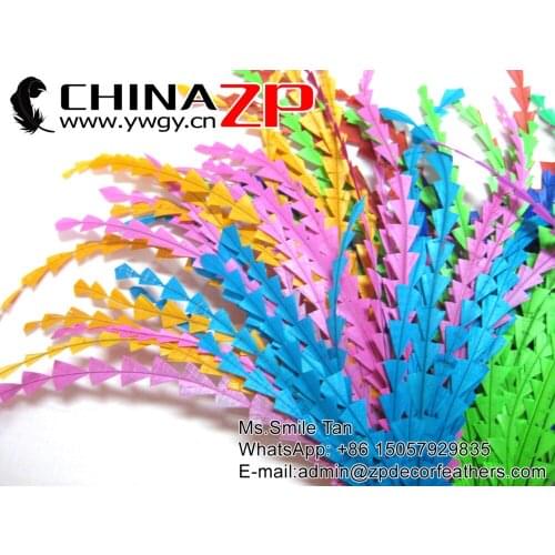 Express Way CHINAZP Rooster Feather Wholesale 1000 Pieces 14 to 16 inch Feather Stripped Coque Diamond Train Bunch Millinery