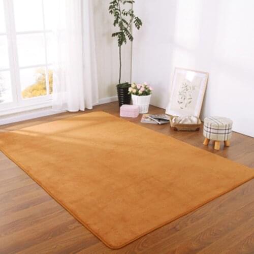 Factory wholesale high-end home coral velvet carpet bedroom living room non-slip blanket children crawling mat tatami mat