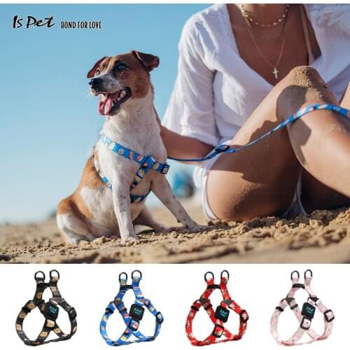 Arnes Perro Fashion Cat Puppy Pet Dog Harness for Small Dog Pitbull French Bulldog Beagle Pomeranian Christmas Dog Accessories
