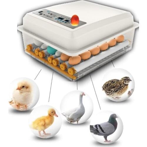 220V Eggs Incubator Brooder Bird Quail Chick Hatchery Incubator Poultry Hatcher Turner Automatic Farm Incubation Tools EU/US