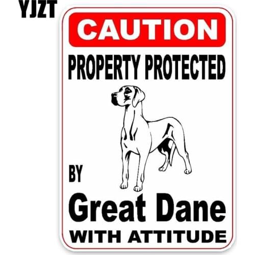 YJZT 16*11.4CM Property Protected By Great Dane Dog Puppy Pet Decoration Fashion Car Sticker C1-4699
