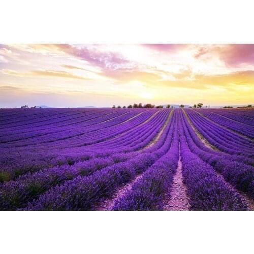 3d wallpaper custom mural non-woven wall stickers purple lavender flower field TV setting wall photo wallpaper for walls 3 d