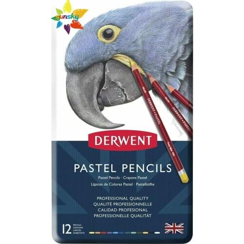 UK Derwent Pastel Pencils, Set of 12, Professional Quality, 32991, Multicolour Professtional Artist Drawing Art Pencil Set