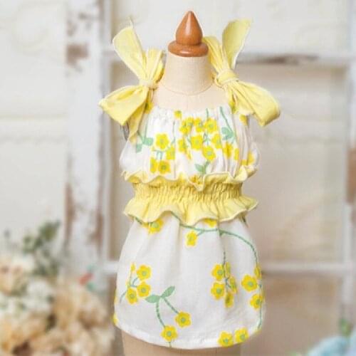 Cat Chihuahua Doggie Puppy Small Dog Dress Skirt Summer Pet Clothing Yorkshire Pomeranian Shih Tzu Maltese Poodle Bichon Clothes