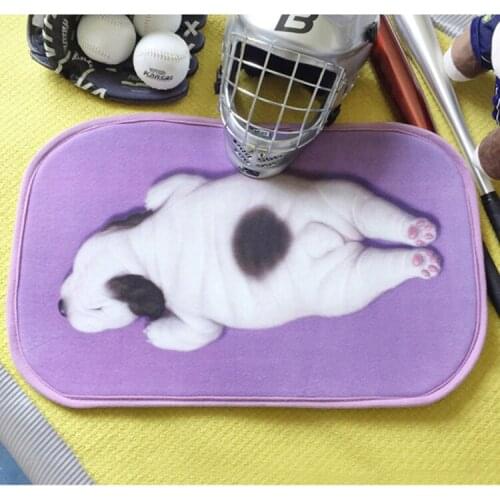 Welcome floor mats cartoon cushion Chinese Sharpei dog printed carpet soormats kitchen bathroom living room snti-slip pad tapete