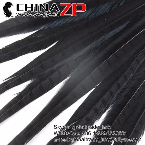 CHINAZP Factory Wholesale 100pcs/lot 40-45cm Fantastic Dark Dyed Ringneck Pheasant Tail Feathers