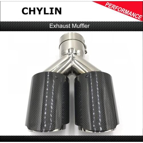 1 Piece Car-styling Real Glossy Carbon Fiber Coated Silver Stainless Steel Car Exhaust Pipe For Universal Muffler For Ak