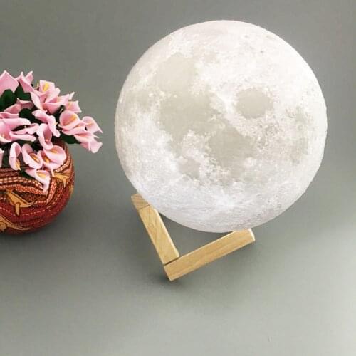 Hand Carved Night Light Salt Lamp 8cm 10cm 15cm 18cm 20cm 3D Printing Moon Light USB Charging 2/3/16 Color Dropshipping
