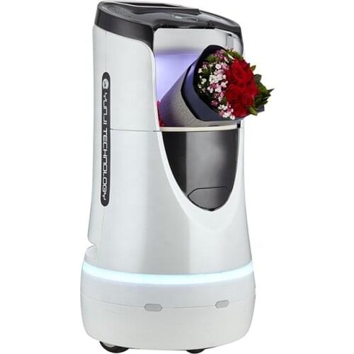 Full-featured Easy To Operatel Hotel Artificial Intelligence Robot Service Robot