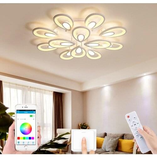 New Nordic modern living room LED ceiling lamp APP RC dimming lamp bedroom corridor LED chandelier hotel lighting villa lamp