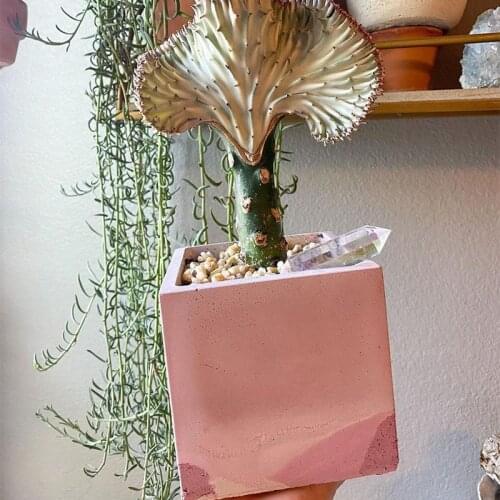 Large Square Concrete Flowerpot Mould Diy Gardening Pot 12cm Square Flowerpot Double-layer Mold Cement Pot Mould