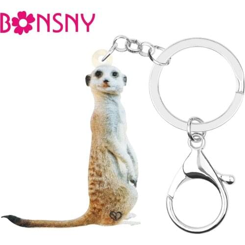 Bonsny Acrylic Cute Mongoose Keychains Printing Long Animal Key Chain Jewelry For Women Kids Teens Novelty Gift Car Accessories