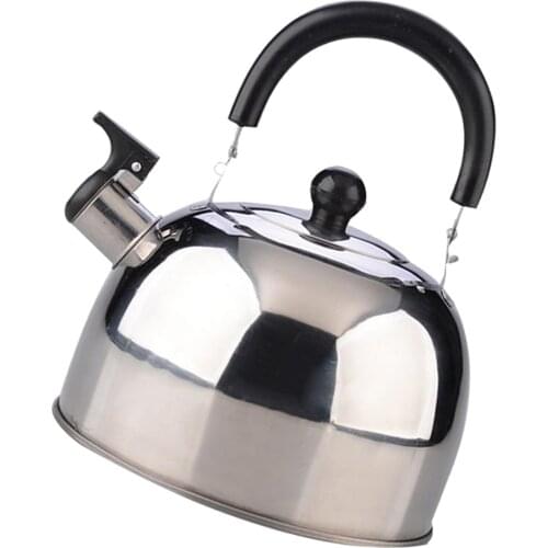 Stainless Steel Whistling Kettle Coffee Juice Tea Pot Fast Boiling Silver 3L