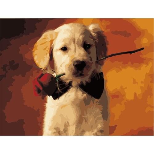 Quintet True Series Diy Painting Number Diy Oil Paint By Numbers Kit Painting Canvas Painting By Numbers For Kid Adult Art Paint