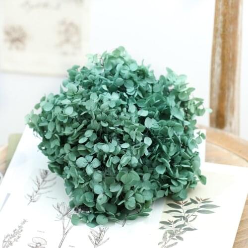 Dried flower Greyish green 20G DIY material Grade A Anna Folium Hydrangea polychrome wedding decoration table