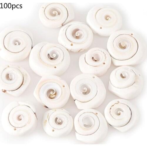 100Pcs Mixed White Seashell Sea Shells Beads Cowrie from Sea Beach Large Conch With Holes for DIY Art Craft Decor