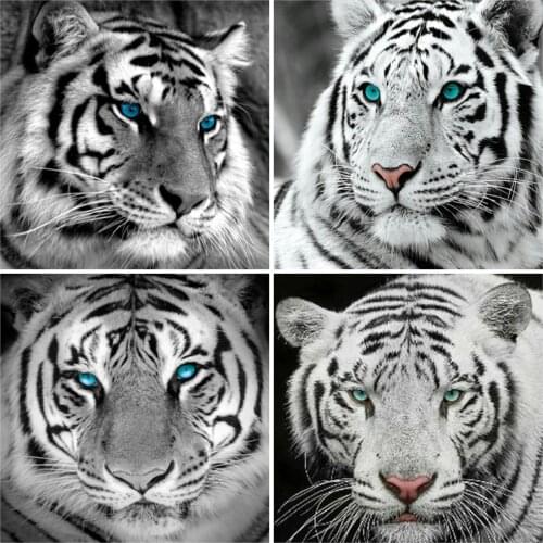 EverShine Diamond Embroidery Tiger Full Square Diamond Painting Animals Rhinestones Cross Stitch Picture Mosaic Wall Decoration
