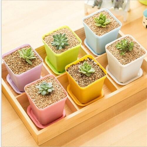 10pcs/lot 7*7*8cm random color Flower Pots and pot trays,Plastic Pots Creative Small Square Pots for Succulent plants