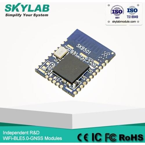 SKYLAB SKB501 Bluetooth Low Energy Module With Bluetooth Chip nRF52840