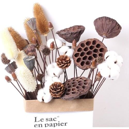 5PCS Natural Dried Flowers Lotus Acorn Pine Cone Wedding Party Handmade Craft Real Plants Room Office Decoration Accessories