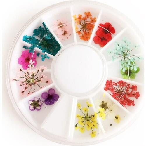 Nail Dry Flower 12 Colors and Size Dry Flower Nail Drill Embellishment Tool Combination Crystal UV Nail Real Flowers