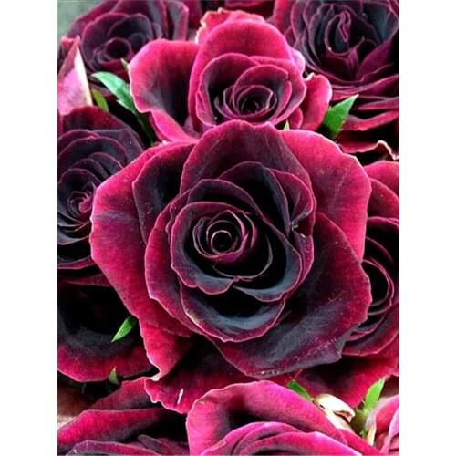 Art Flower DIY Cross Stitch 11CT Embroidery Kits Craft Needlework Set Cotton Thread Printed Canvas Home Decoration Hot Room