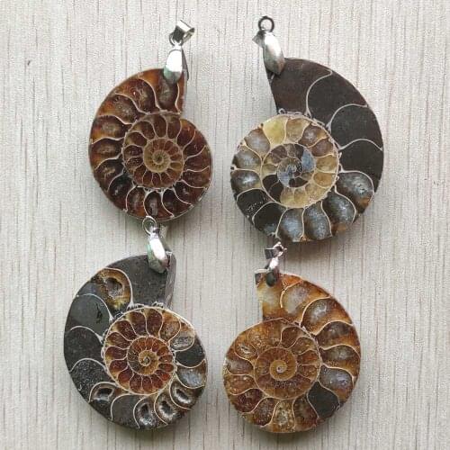 Natural ammonite fossils seashell ocean reliquiae conch exquisite snail shell pendants for necklace men women wholesale 4pcs/lot