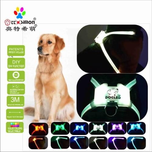 CC Simon unique products led dog collar usb rechargeable Puppy Lead Pets Vest xl dog collar for large dog