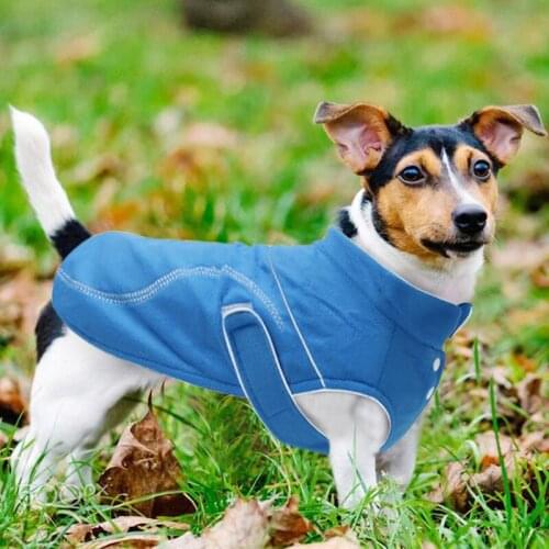 Soft Plush Dog Clothes Pet Jacket Vest Winter Warm Puppy Coat Clothing For Small Medium Big Dogs Chihuahua French Bulldog Outfit
