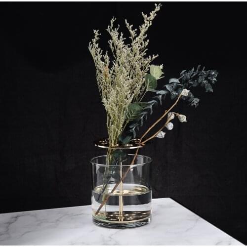 Hydroponic Test Tube Transparent Vase Creative Jardiniere Nordic Flowers Home New Tabletop Large Simplicity Simple Decoration
