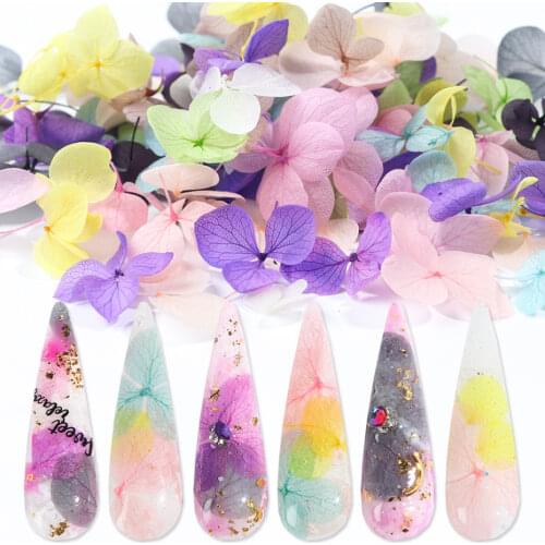 50/100pcs Dried Flowers 3D Nail Art Decorations Natural Floral Leaf Stickers Decals For Summer Gel Polish Manicure Tools LA1505